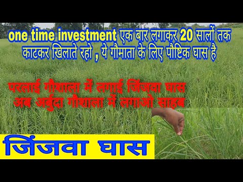 देवनगरी के देवदर्शन पार्ट