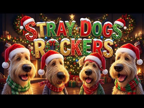 Stray Dogs Rockers and Stray Dogs Orchestra