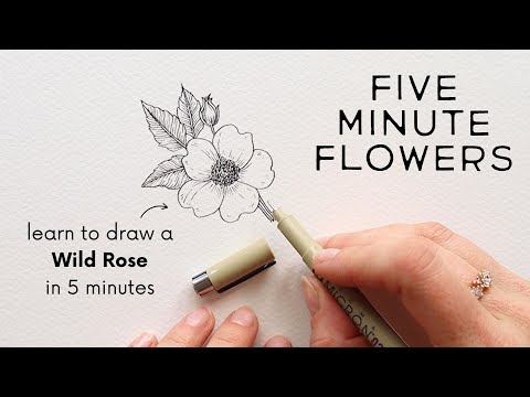 Five Minute Flowers | SWEET BRIER ROSE ✿ Learn to draw a wild rose with ink in under five minutes!