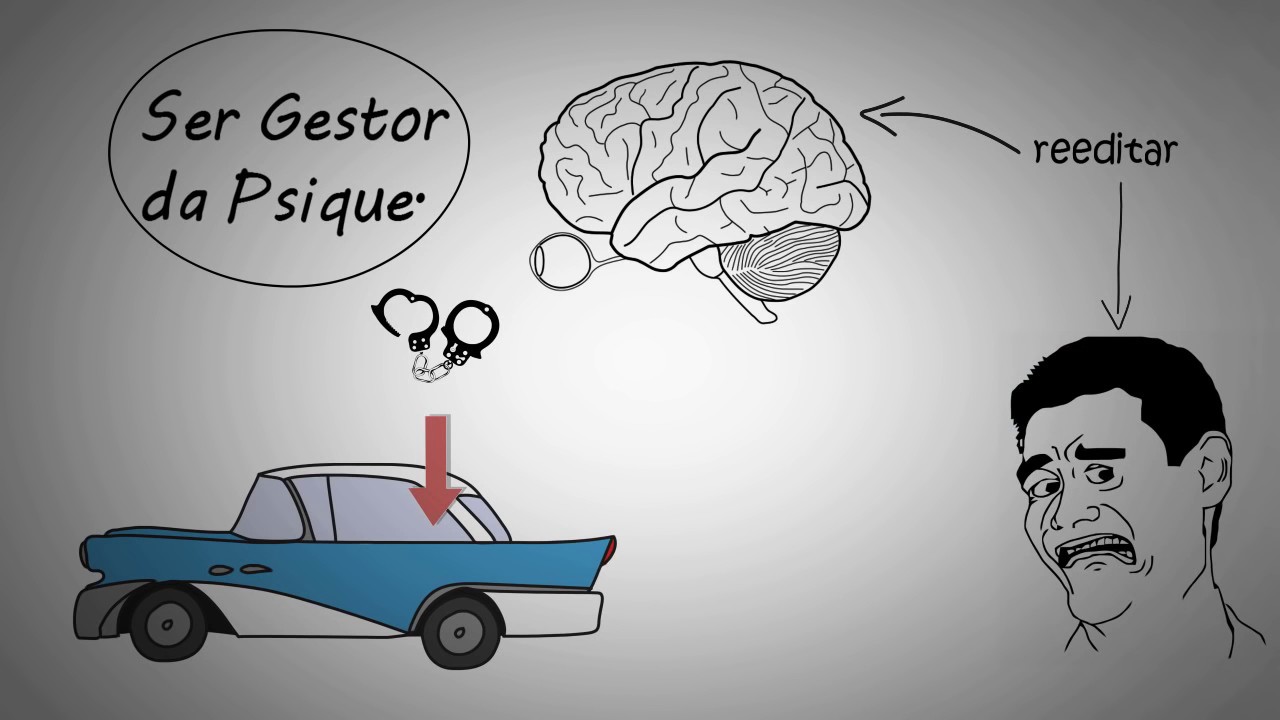 O CÓDIGO DA INTELIGÊNCIA  Por AUGUSTO CURY  Resumo Animado  Resenha