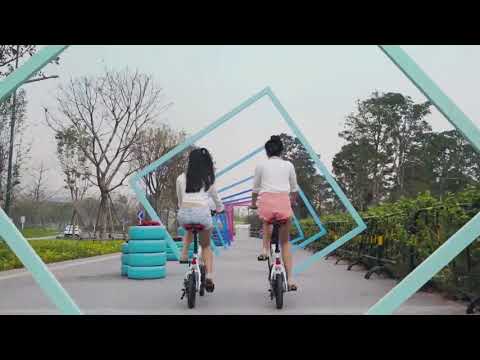 FIIDO D1: Long Battery Life Folding E-Bike 14 inch