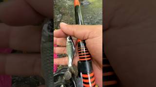 Download lagu #fishing #microfishing #fishing #mancingmania #wader #wadermania mp3