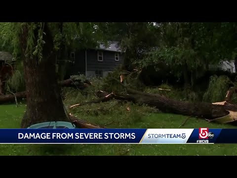Video shows wind damage from summer storms that hit Mass.