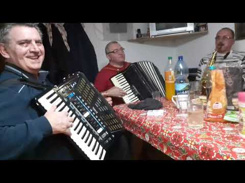 Florin Joldea si prietenii  live 2