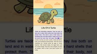 Discover The Amazing Life Of Turtles