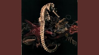Cover art for Loin de L'Ile