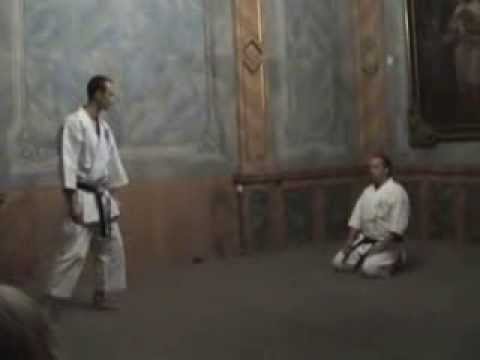 Shotokan karate kumite,Vladimir Budin, Kamil Prask