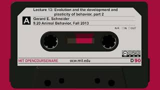 Lec13: Evolution and the development and plasticity of behavior, part 2