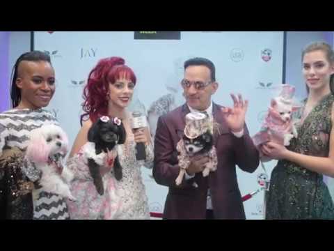 Anthony Rubio Fame Rocks Fashion week  Nov 13, 2016