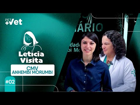 Explorando os Corredores do Hospital da Anhembi Morumbi - Leticia Visita #2