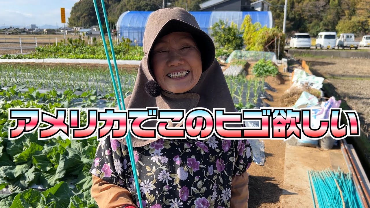 防虫ネットの青いヒゴのサイズを教えてください。アメリカで探しています。（商品名はダンポールです）