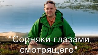 Виктор Тропченко "Сорняки глазами смотрящего" фото