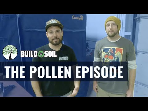 BuildASoil: COLLECTING & STORING POLLEN (Featuring AWKID)