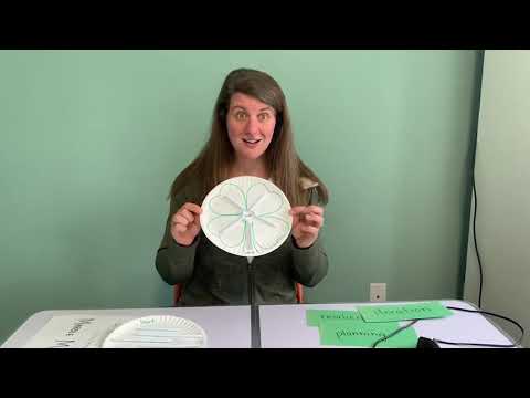 Jessica Mellon with a Marble Maze Solution