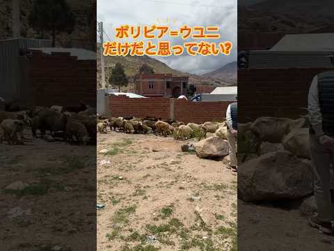 【ボリビア】世界遺産スクレとポトシの魅力！