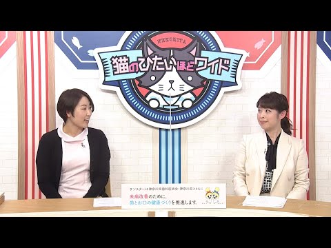 猫のひたいほどワイド「健康!歯ッピーライフ」第4回「大活躍!歯間清掃具」