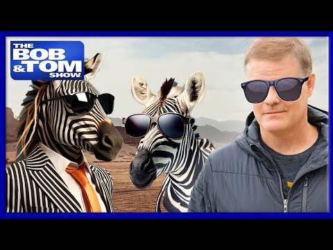 The Warren Report with Greg Warren: The History of Zebras