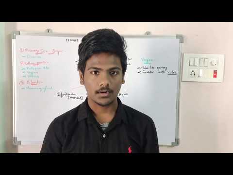 Inter 2nd year SYNAPTIC TRANSMISSION ZOOLOGY