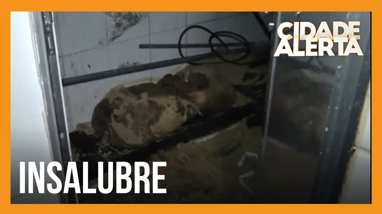 Patrulha do Consumidor: açougue é denunciado após apresentar risco à saúde dos consumidores