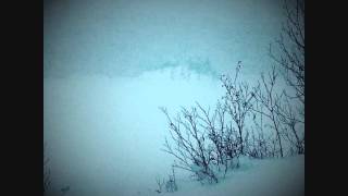 Snow - Allison Crowe