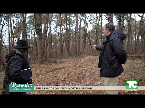 Rebelot: sulle tracce dei Celti: nostri antenati