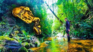 Das seltenste Goldnugget, das ich je gefunden habe!!