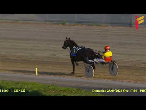 Prova di riqualifica - 5 Anni ed oltre - Metri 1600