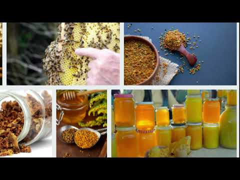 , title : '5 harmful effects of propolis, who can not use it?'