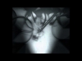 Devendra Banhart - Lend me your teeth