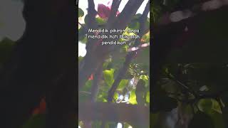 Download lagu Seperti Kisah - Rizky Febian #short #shorts #shortsyoutube #like #viral #quotes #subscribe mp3