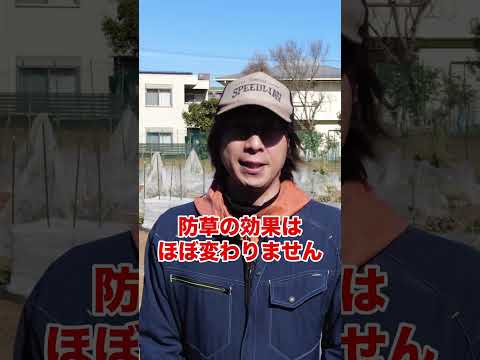 簡単に除草する方法は？雑草や不要な植物を取り除くための5つのヒント!  庭園