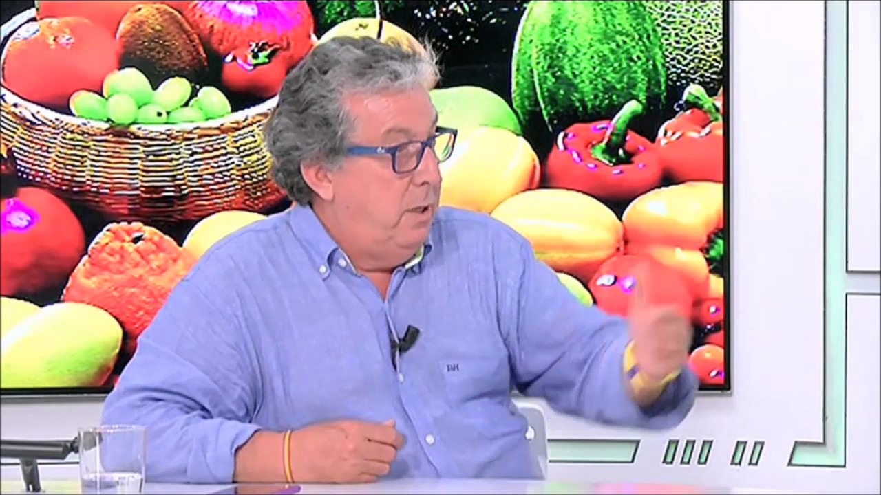 Félix Gómez-Guillamón Y Arrabal-10