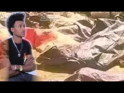 Hacaaluu Asheetuu Dhiiga dhangala'aa Jiru