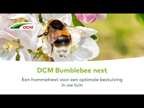 , title : 'Een hommelnest  voor een optimale bestuiving in uw tuin - DCM Bumblebee nest'