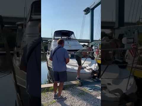 Haul Out Day! WHAT DID WE FIND!