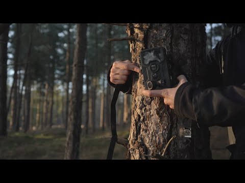 Miguel Teodoro | Reason is a Flower - Thoughts on Art and Science