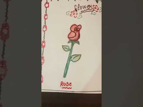 flower 🌺🌹 # creatives _ ideas _  on _ art _ Navjot 😁🌸