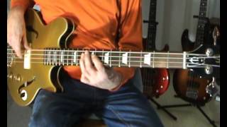 The Animals - I'm Going To Change The World - Bass Cover