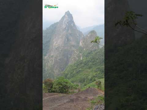 😀👌 Pauna Occidente de Boyacá Colombia 👏✔