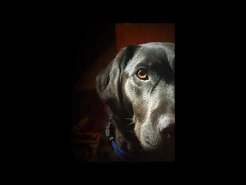 Use Your Authority - Matthew 8:5-10