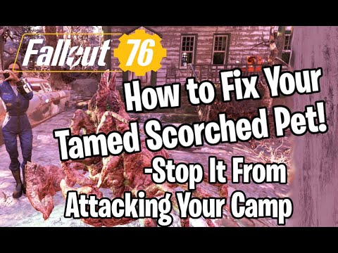 Fallout 76 How to Fix Your Tamed Scorched Pet! Stop it From Attacking Your Camp!
