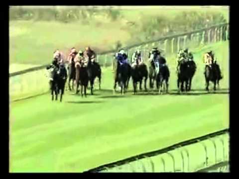 Hunting Horn - 3rd win - Racing Association