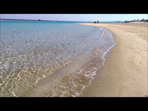 Palm Beach - Cyprus - Zeds Dead - Dimemories