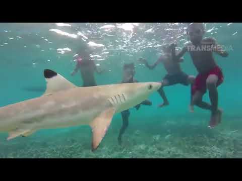 Menyelamatkan Kimah Laut | SI BOLANG