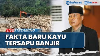 Kemenhut Klarifikasi Dugaan Pidana Kayu Tersapu Banjir, Terungkap Alasan Belum Berstatus Darurat
