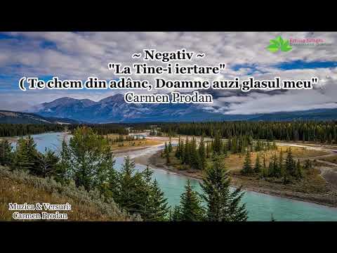 Negativ - La Tine-i iertare -  Carmen Prodan [2022]
