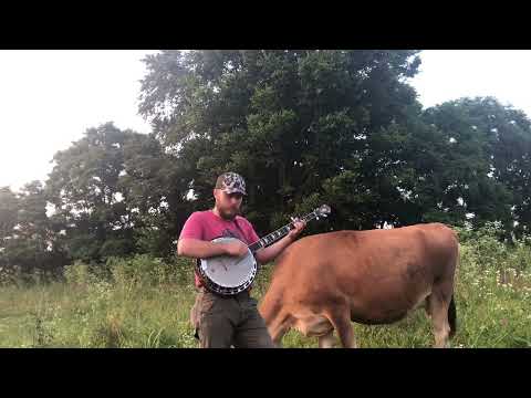 Train 45, Clawhammer Banjo