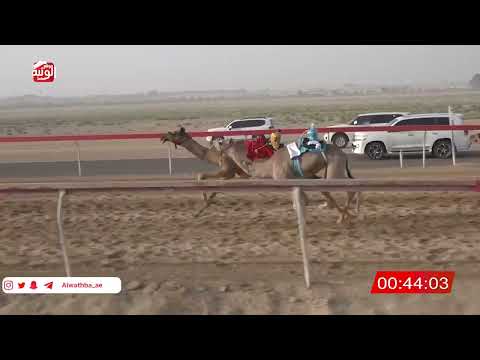  ش 12 (شاهين) لـ سعيد بن سالم المقبالي 2:16 ، شارة صندوق حلفه 2026/05/03 فطامين سويحان