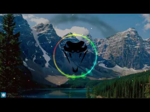 Mindsight x LIOHN - Adventure