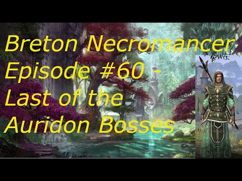 Breton Necromancer Game Play, Episode 60. The last two Auridon World Bosses.